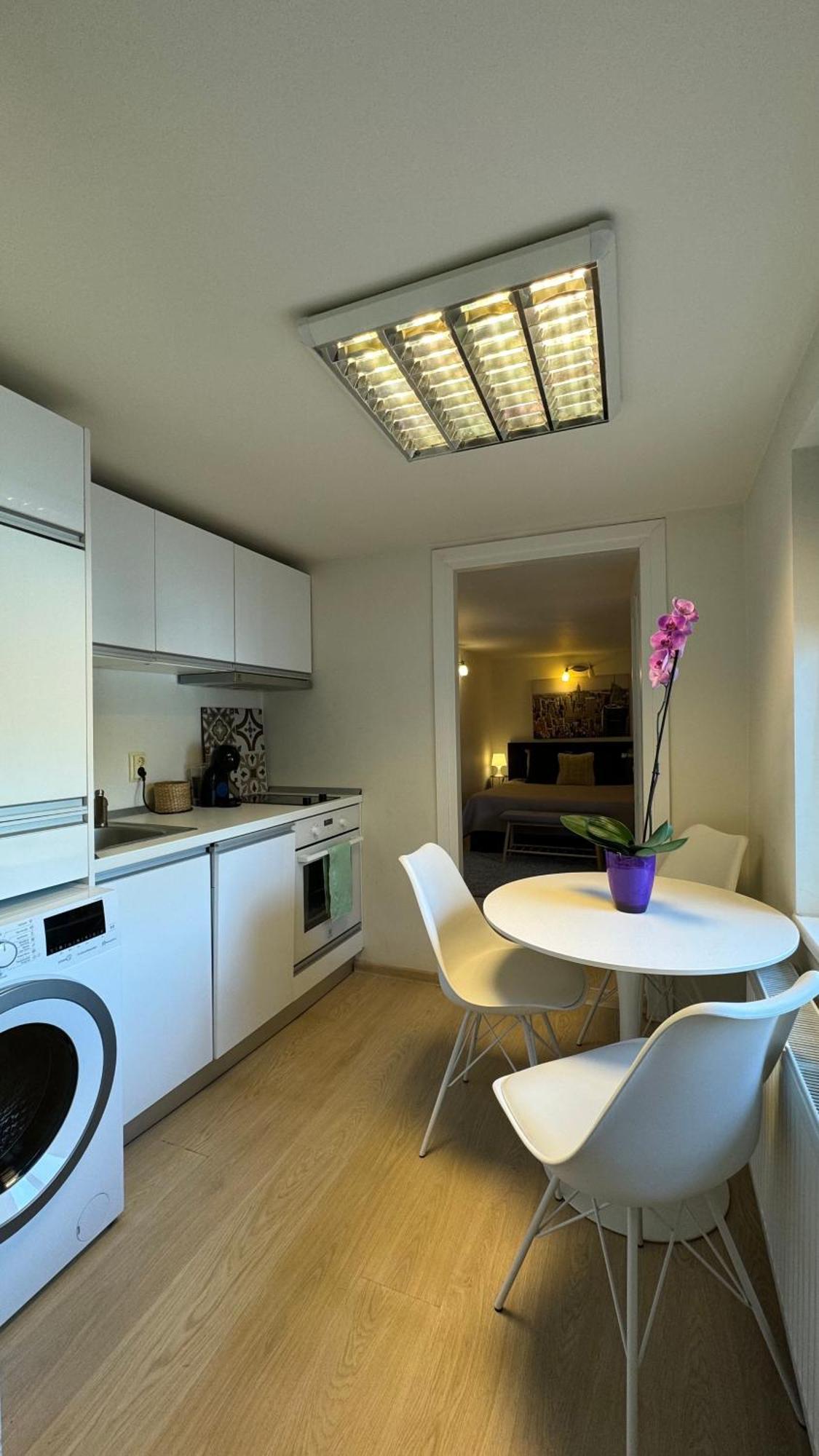 Elite Residence 蒂米什瓦拉 外观 照片